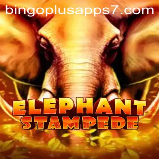 Discover the Thrilling Adventure of ElephantStampede and Bingoplus Apps